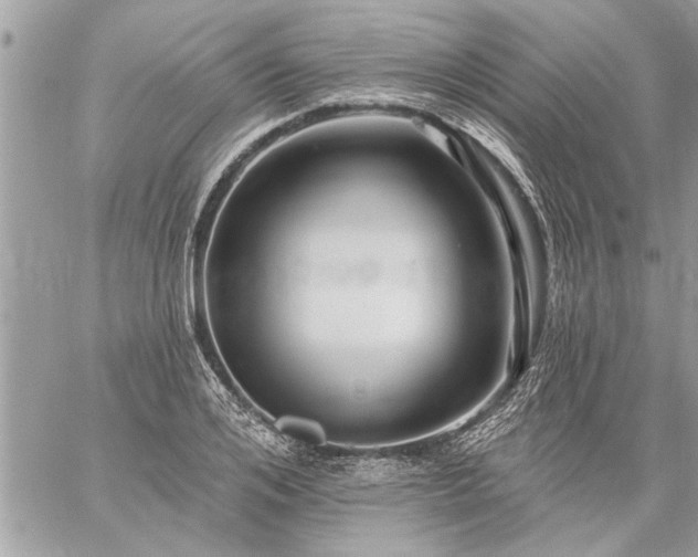 X0000059060984200510171935