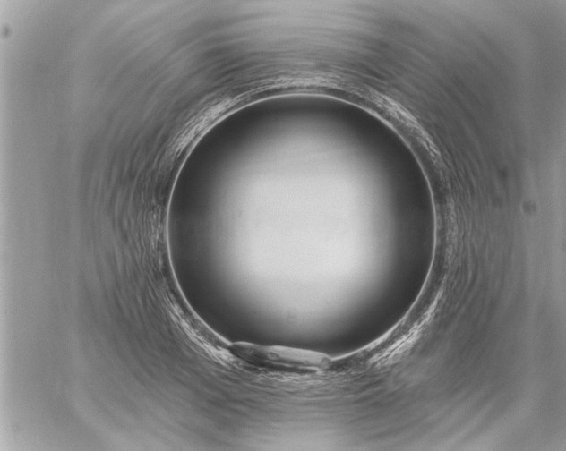 X0000059060985200510171935