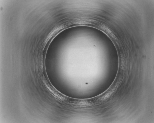 X0000059060986200510171935