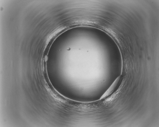 X0000059060987200510171935