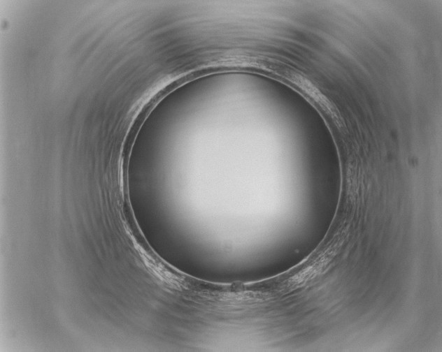 X0000059060988200510171935