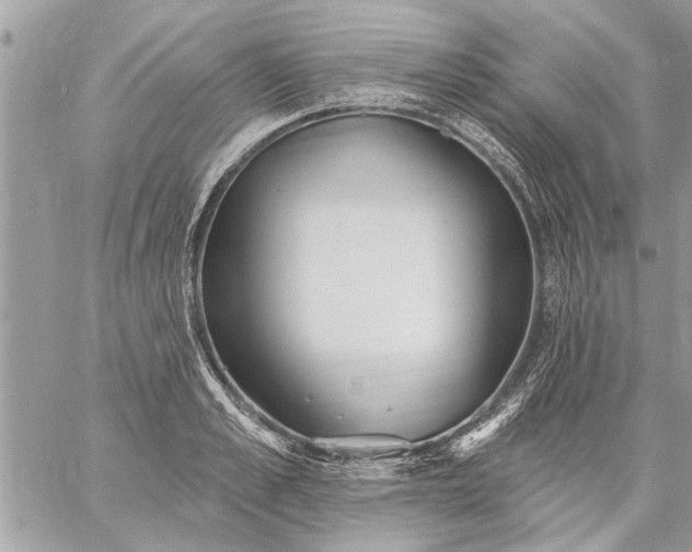 X0000059060989200510171935