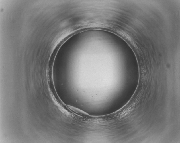 X0000059060991200510171935