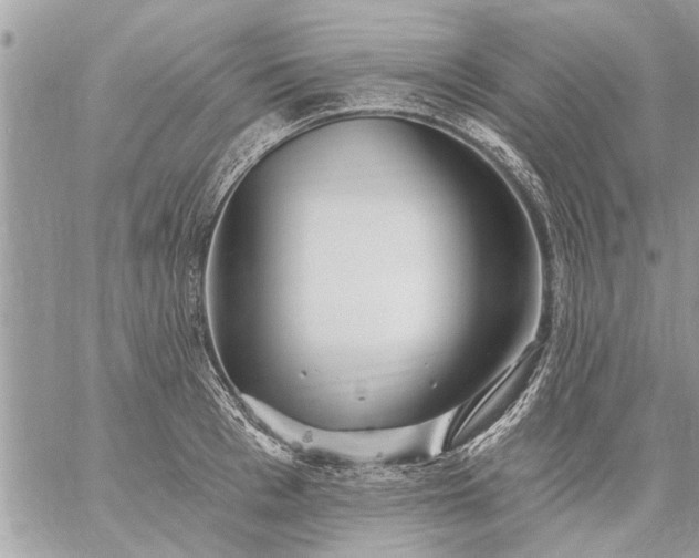 X0000059060993200510171935