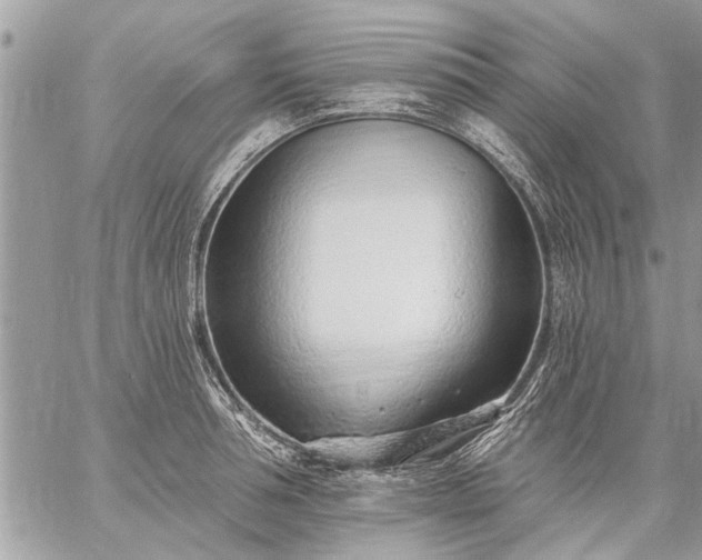 X0000059060994200510171935