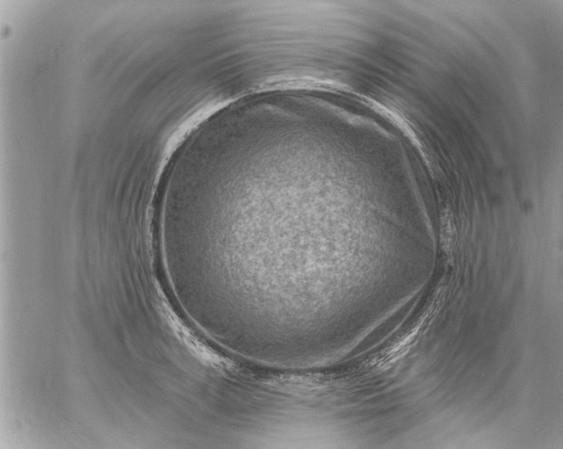 X0000059060995200510171935