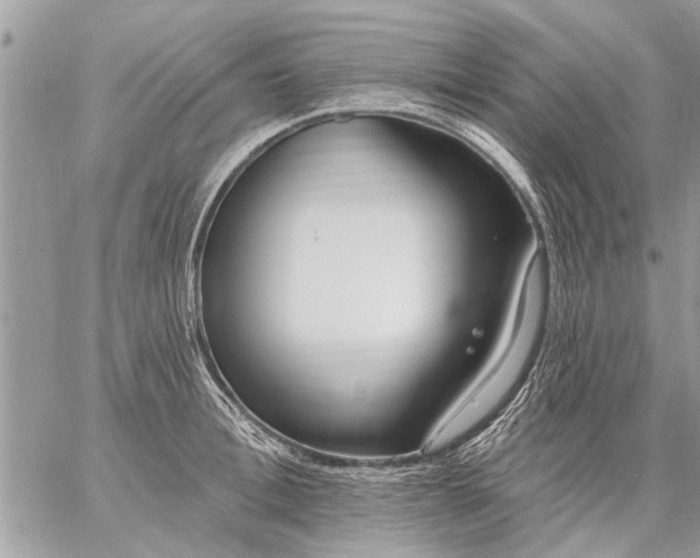 X0000059060996200510171935