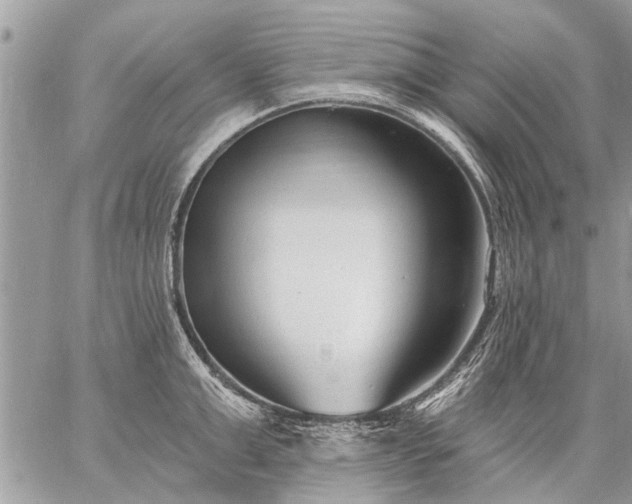 X0000059060999200510171935