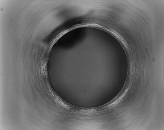 X0000059061001200510171935