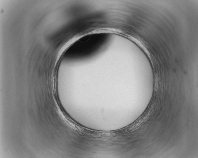 X0000059061003200510171935