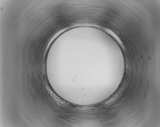 X0000059061004200510171935