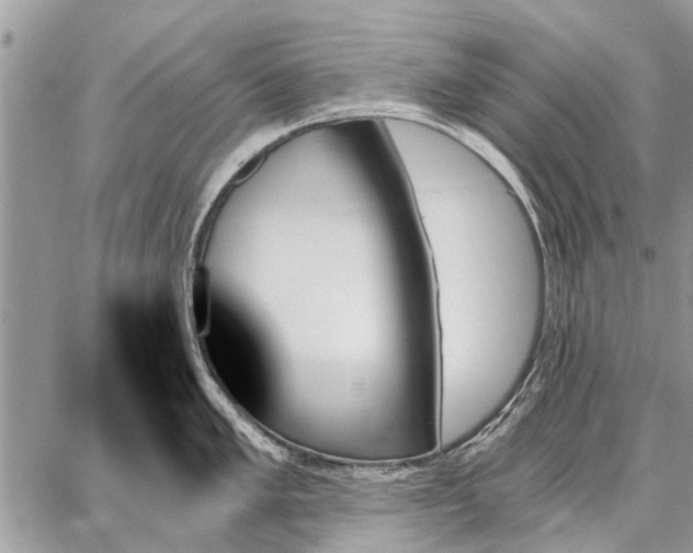 X0000059061005200510171935