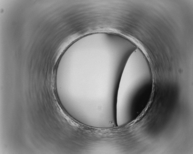 X0000059061006200510171935