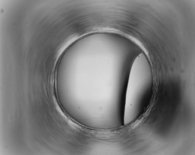 X0000059061007200510171935