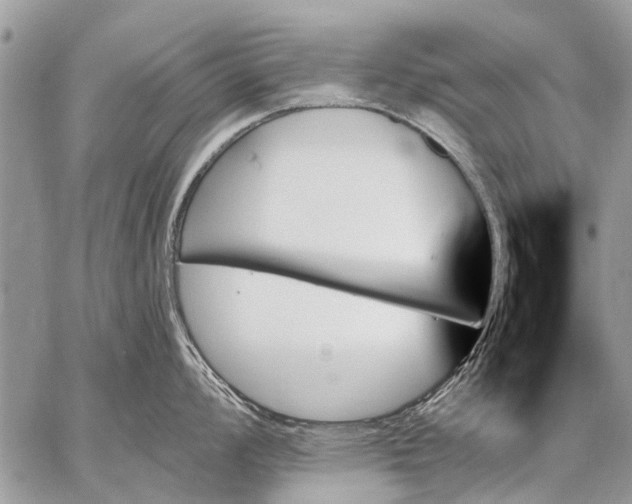 X0000059061008200510171935