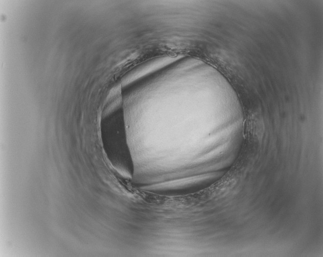 X0000059061009200510171934