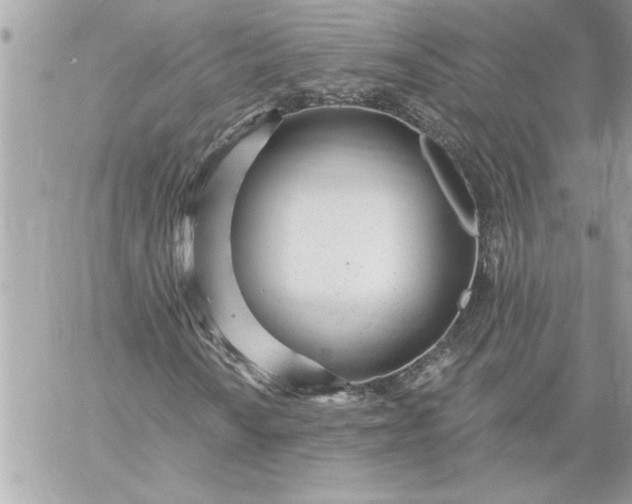 X0000059061010200510171934