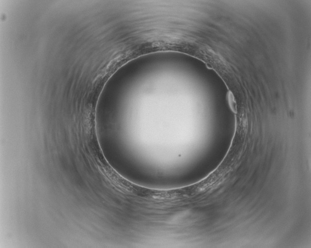 X0000059061012200510171934