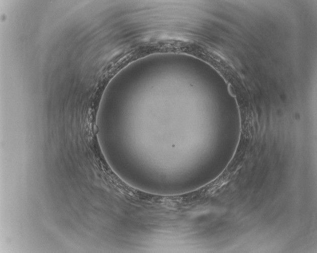 X0000059061013200510171934