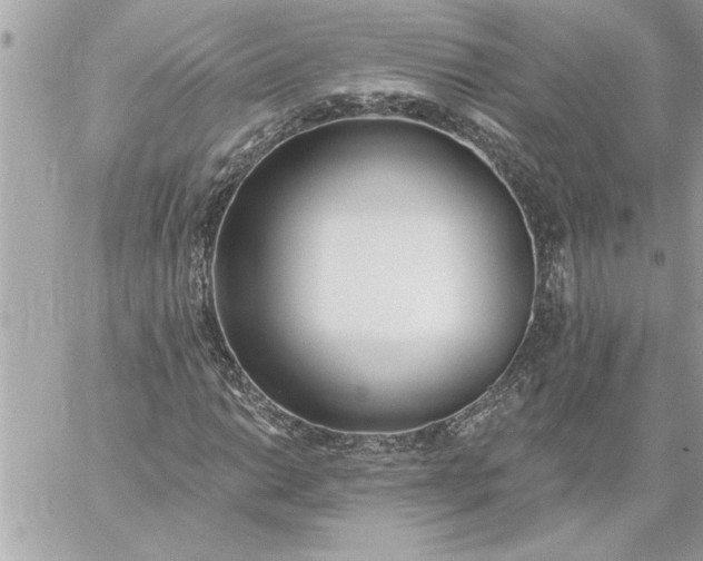 X0000059061014200510171934