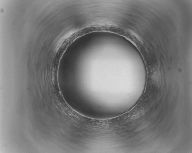 X0000059061016200510171934