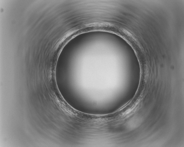 X0000059061017200510171934