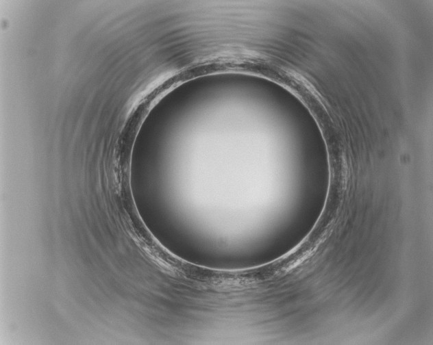 X0000059061018200510171934