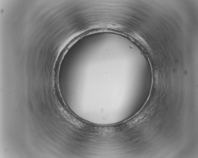 X0000059061020200510171934