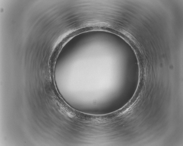 X0000059061022200510171934