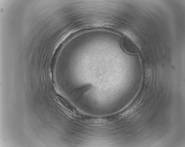 X0000059061023200510171934