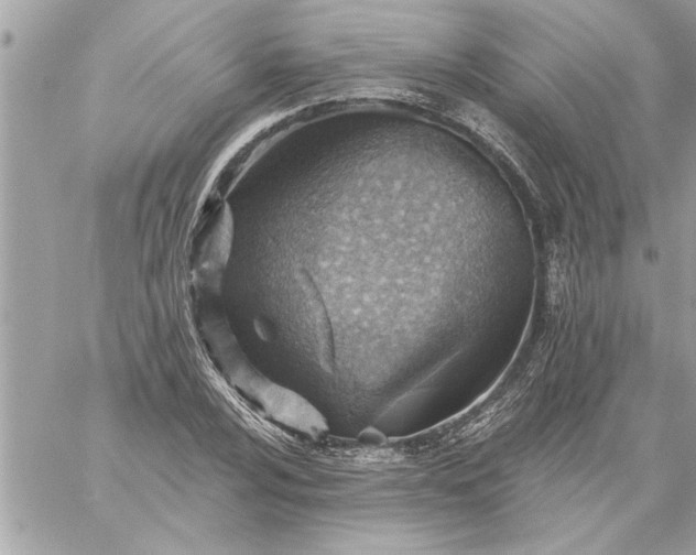 X0000059061024200510171934