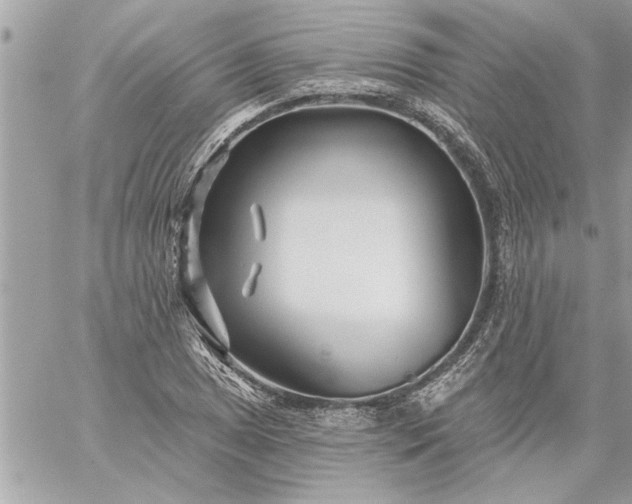 X0000059061025200510171934