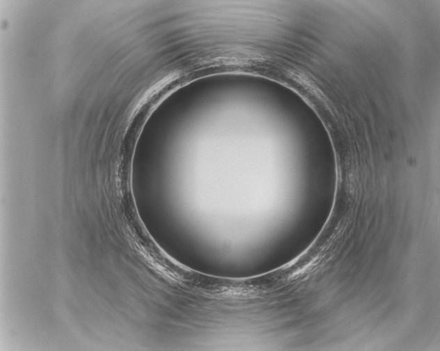 X0000059061026200510171934