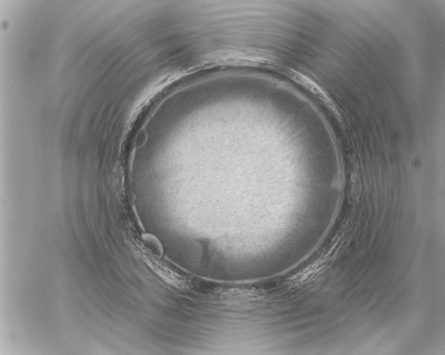 X0000059061027200510171934