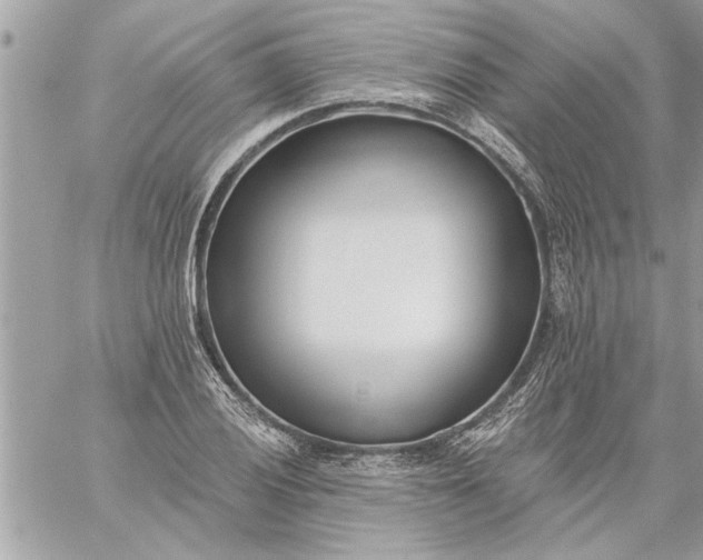 X0000059061028200510171934