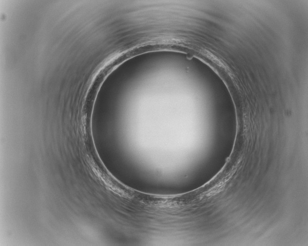 X0000059061029200510171934