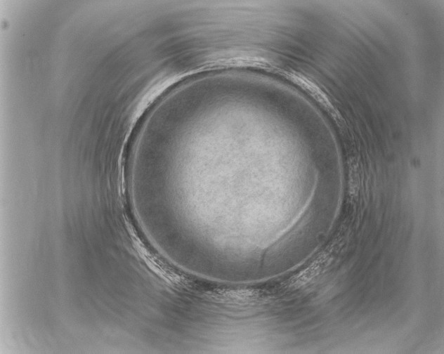 X0000059061031200510171934