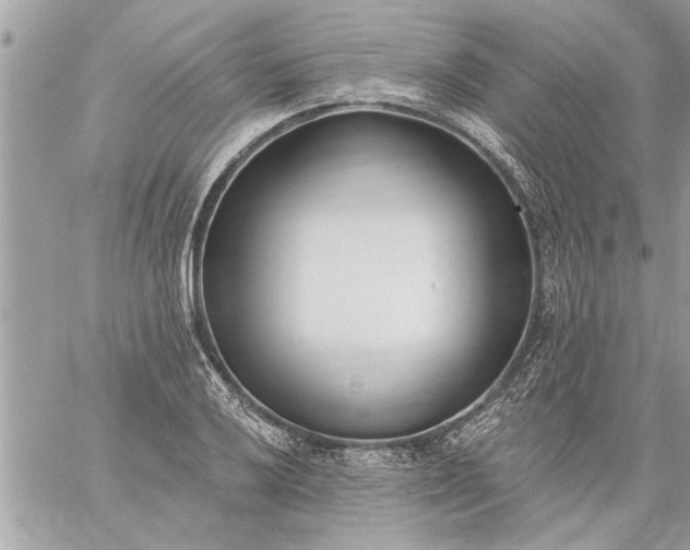 X0000059061032200510171934