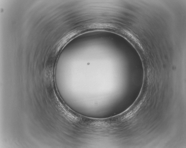 X0000059061033200510171934