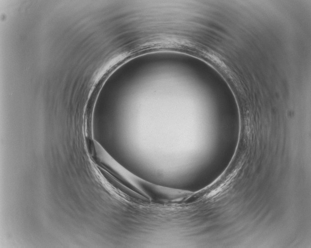 X0000059061034200510171934