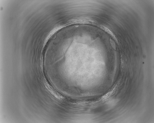 X0000059061035200510171934