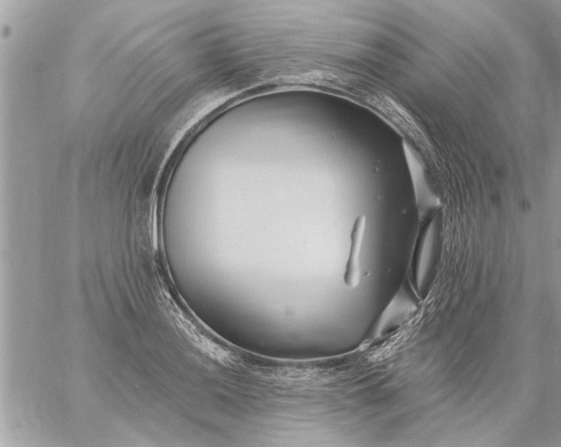 X0000059061036200510171934