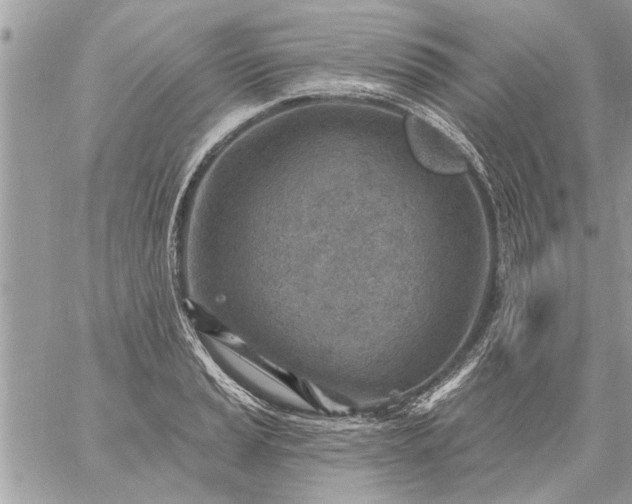 X0000059061037200510171934