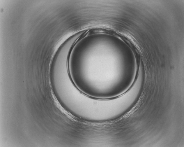 X0000059061038200510171934