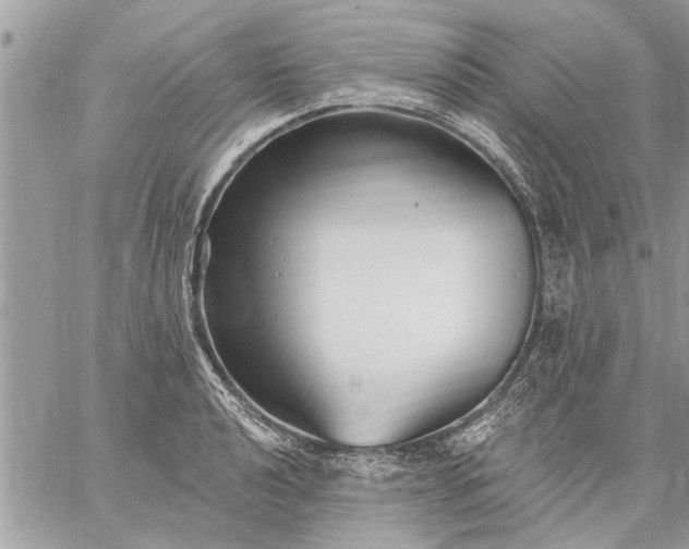 X0000059061040200510171934