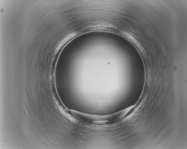 X0000059061042200510171934