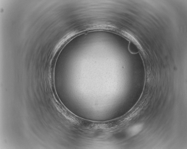 X0000059061043200510171934