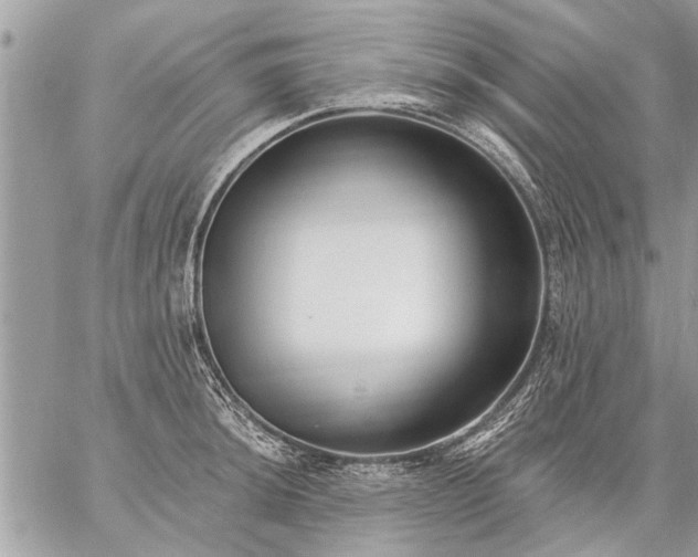 X0000059061044200510171934