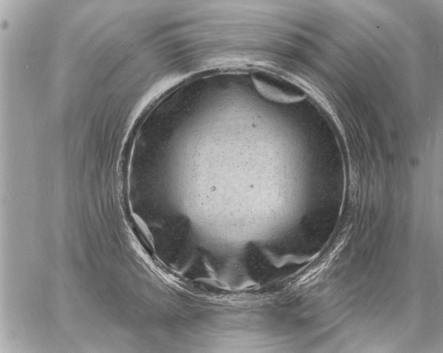 X0000059061045200510171934