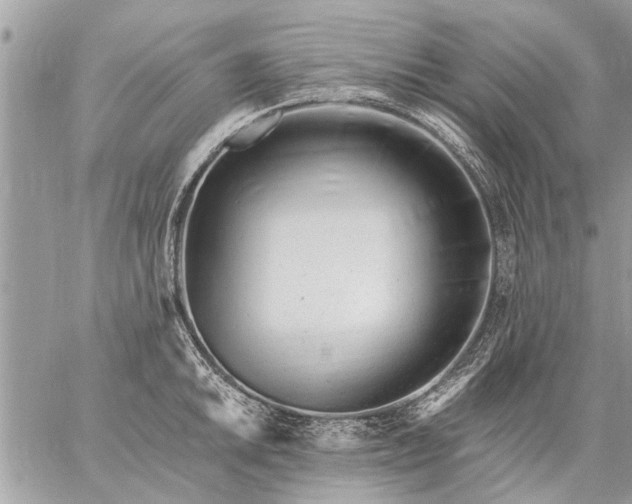 X0000059061046200510171934